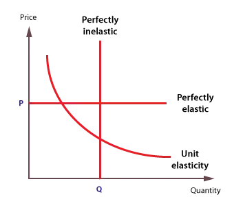 price elasticity graph