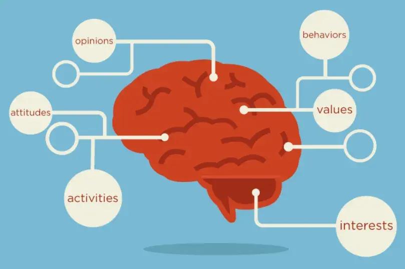 graphic of human brain with the behavioral drivers behind behavioral market segmentation, market segmentation