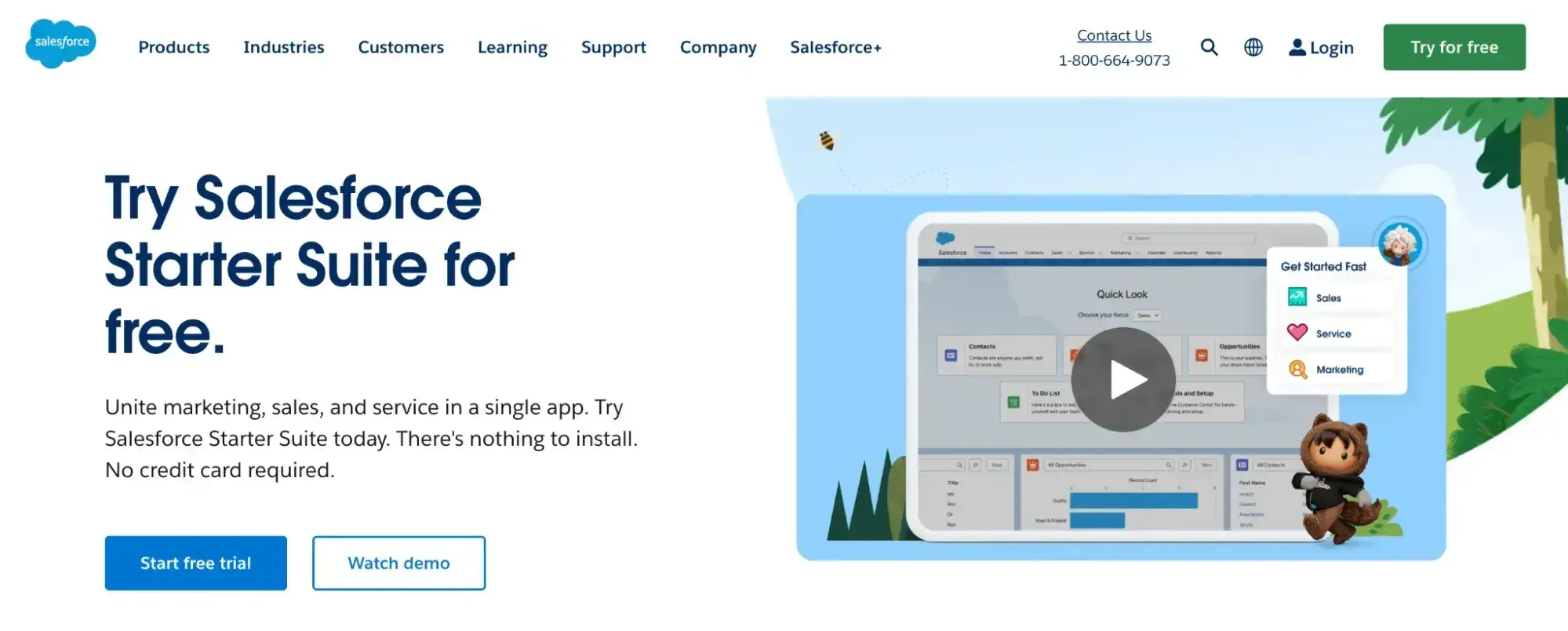 crm software examples, salesforce