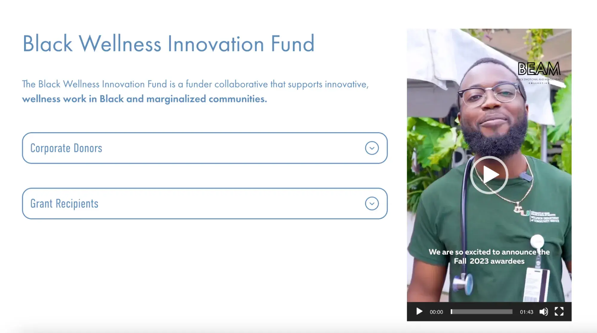 a screenshot of the black wellness innovation fund grant homepage with a video of a black business owner promoting the grant next to the application button