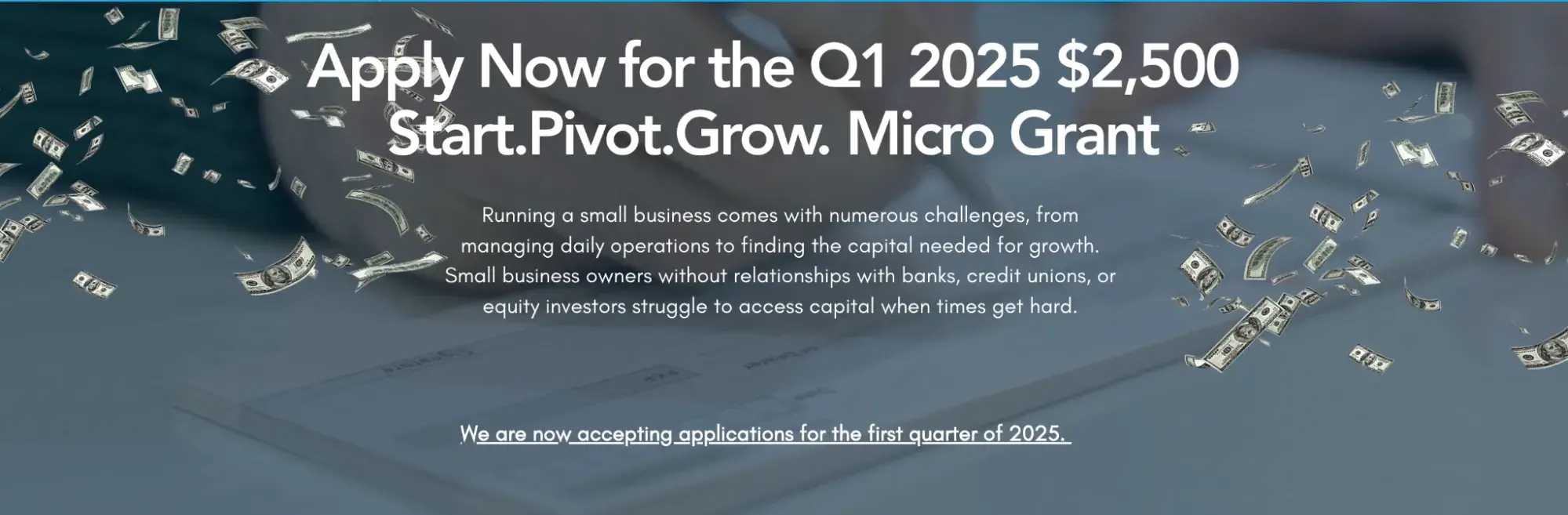 a screenshot of the start.pivot.grow grant with an explanatory paragraph of what the grant is entailed for and what grantees will receive