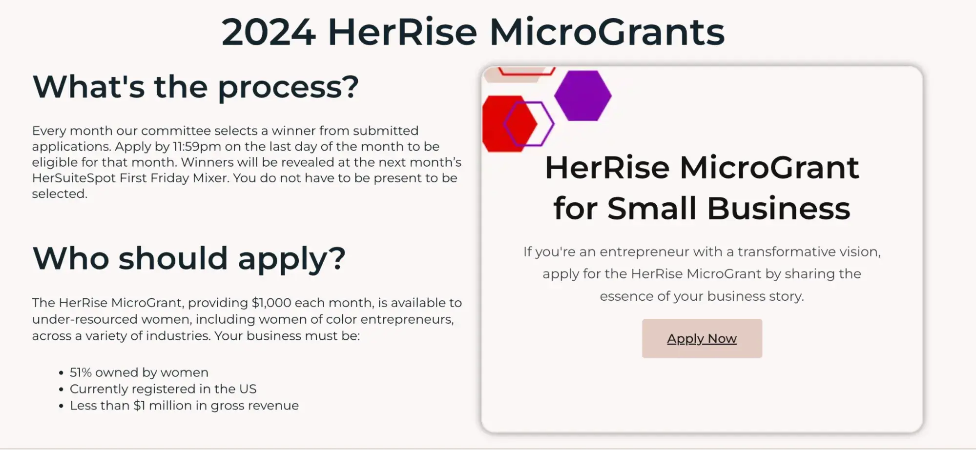 a screenshot of the HerRise microgrants application page