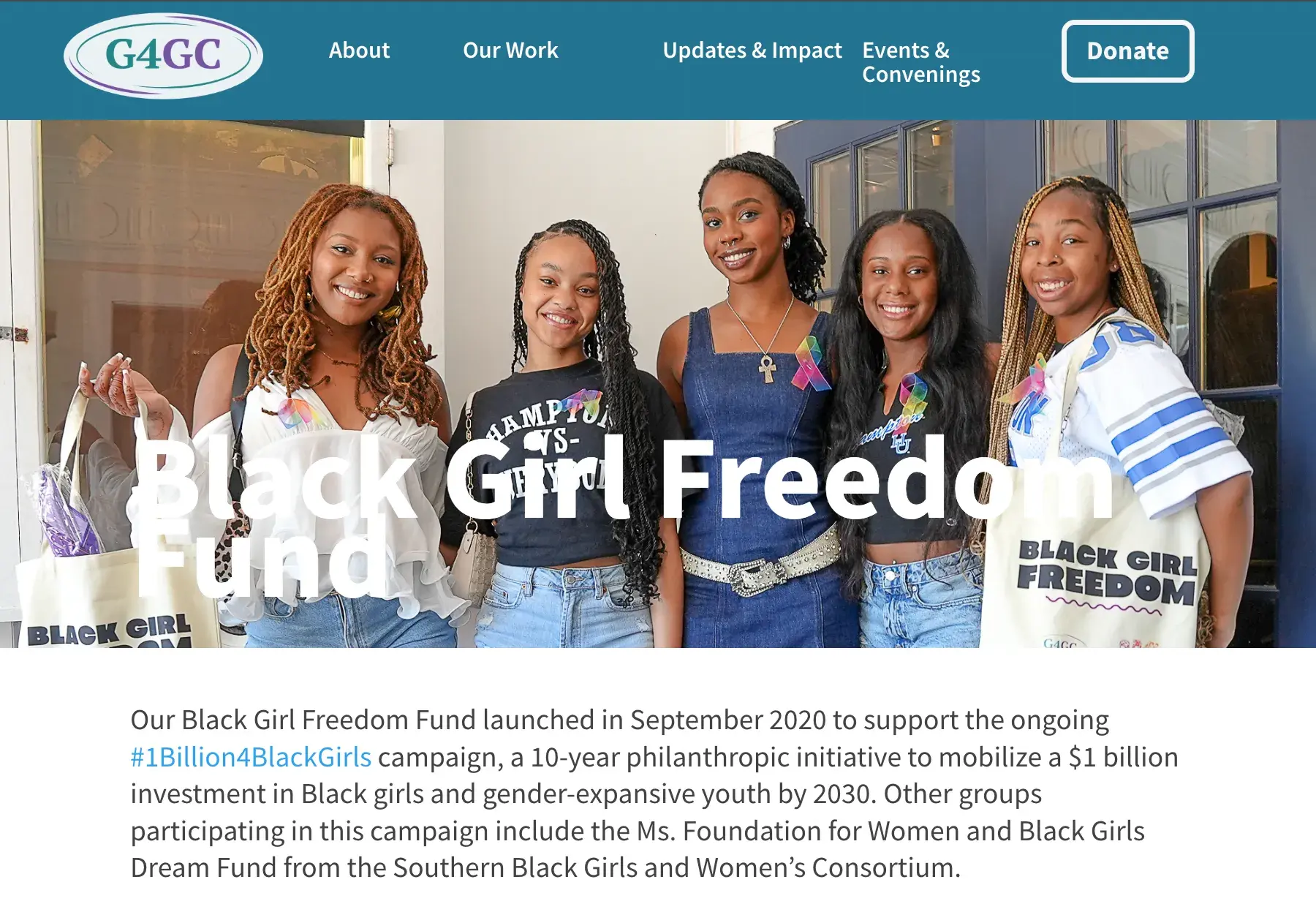 a screenshot of the black girl freedom fund grant “about” page