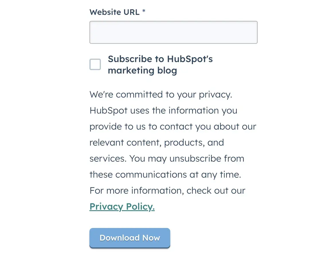 image of a privacy policy preview at the bottom of a lead form