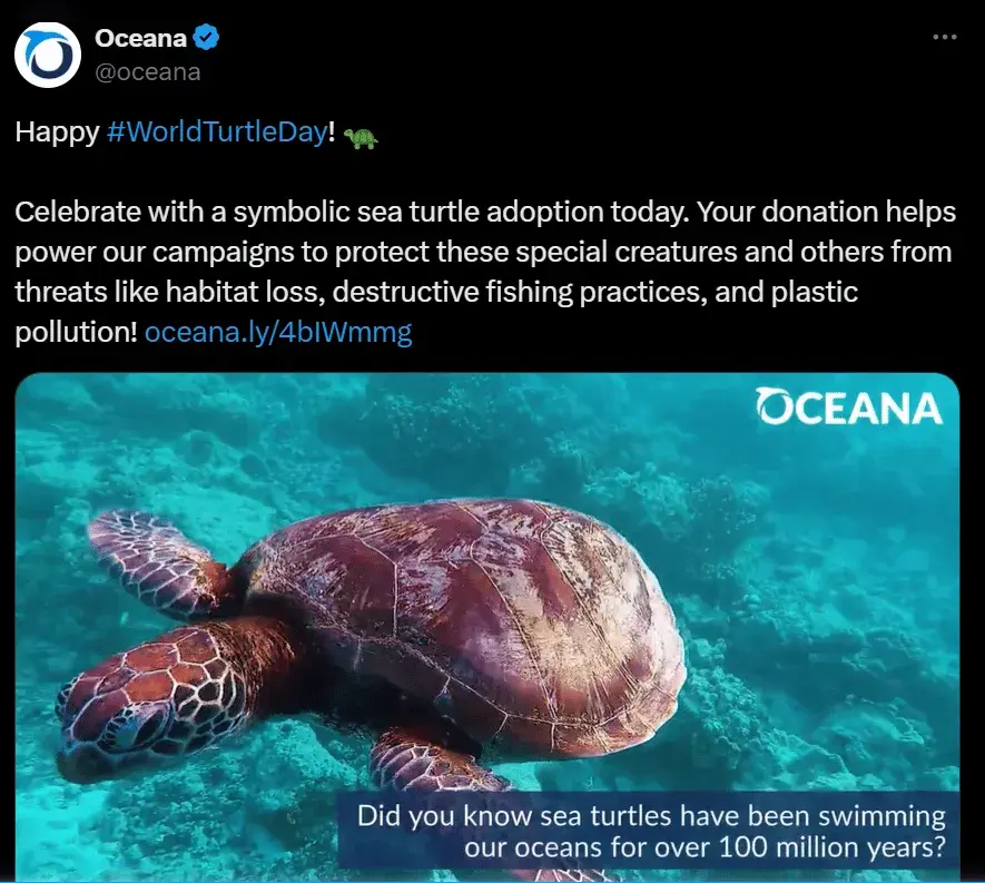 social media strategy for nonprofits